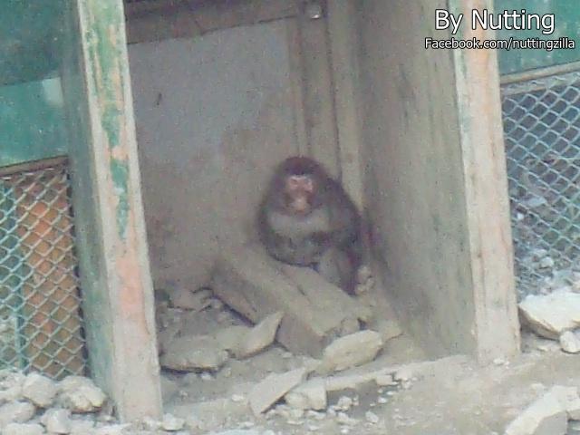 DSC04000.JPG